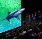 imax