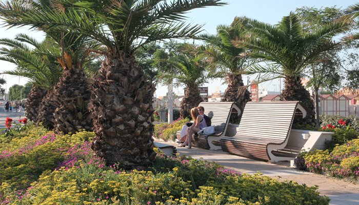 Il lungomare Riccione e le sue panchine in mezzo al verde delle palme